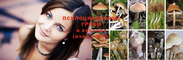 синтетический гашиш Новодвинск