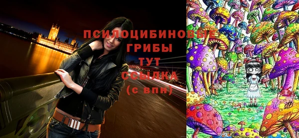 синтетический гашиш Новодвинск