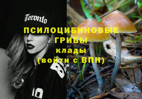 гашиш Новозыбков