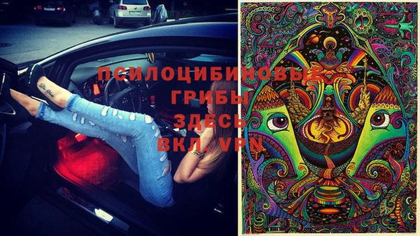 синтетический гашиш Новодвинск