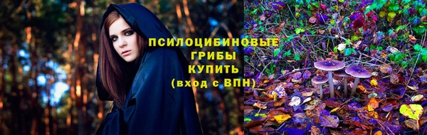 mdma Богданович