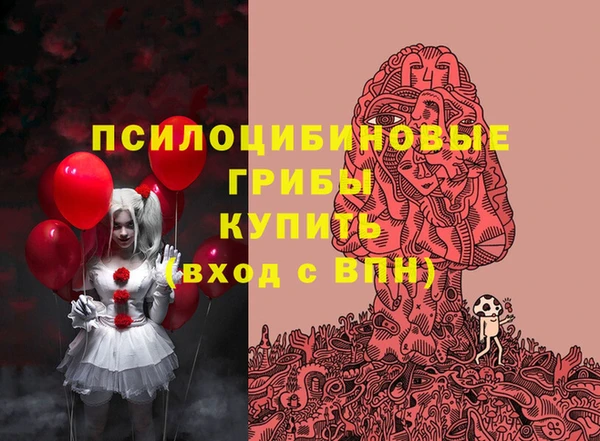 синтетический гашиш Новодвинск