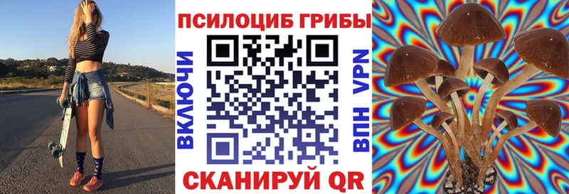 продажа наркотиков  Рославль  Псилоцибиновые грибы Cubensis 