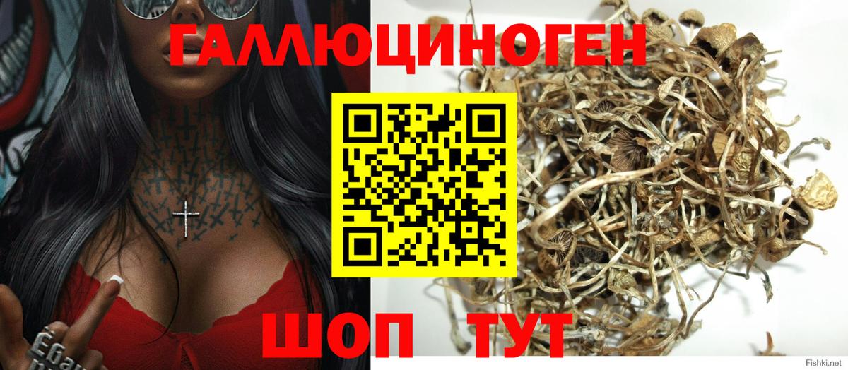 Псилоцибиновые грибы ЛСД Рославль